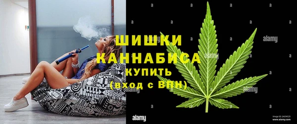 mix Белокуриха