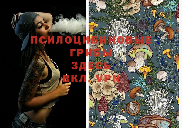 mix Белокуриха